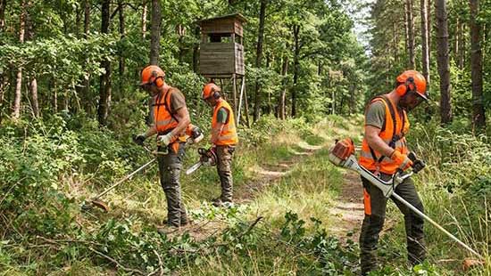 Débroussaillement pour sociétés de chasse