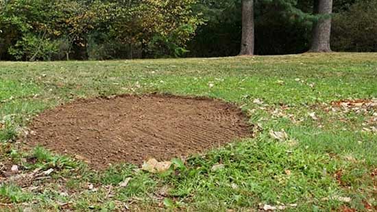 Elimination complète des souches après l’abattage