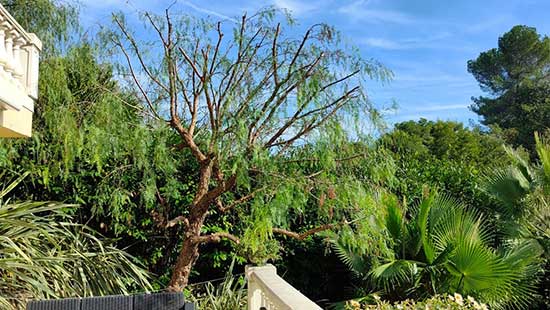 Taille de silhouette équilibrée