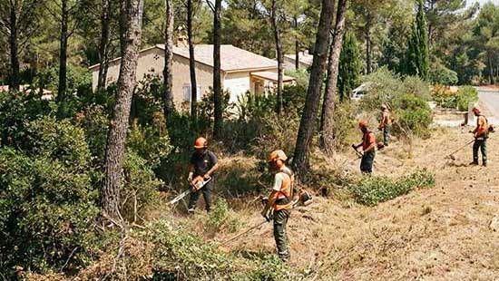 Prévention et la sécurité incendie